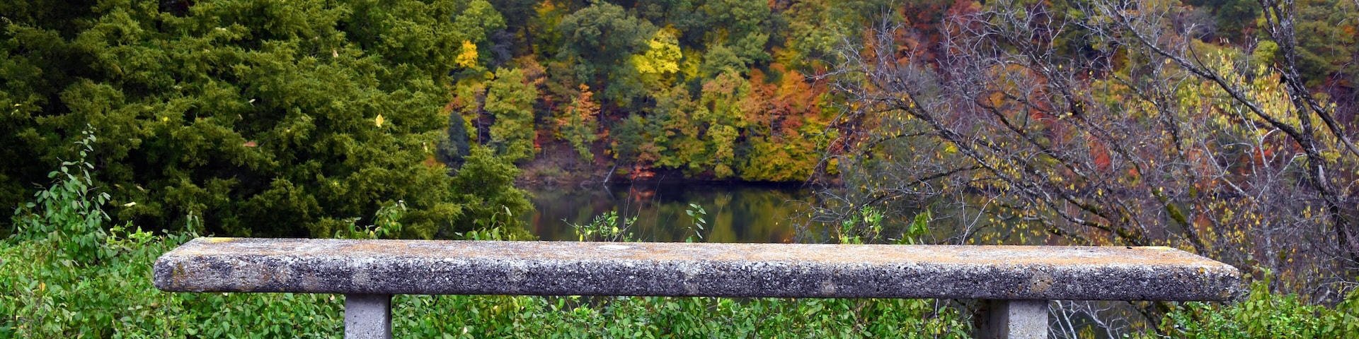 Bench Seating Overlooking Holston River