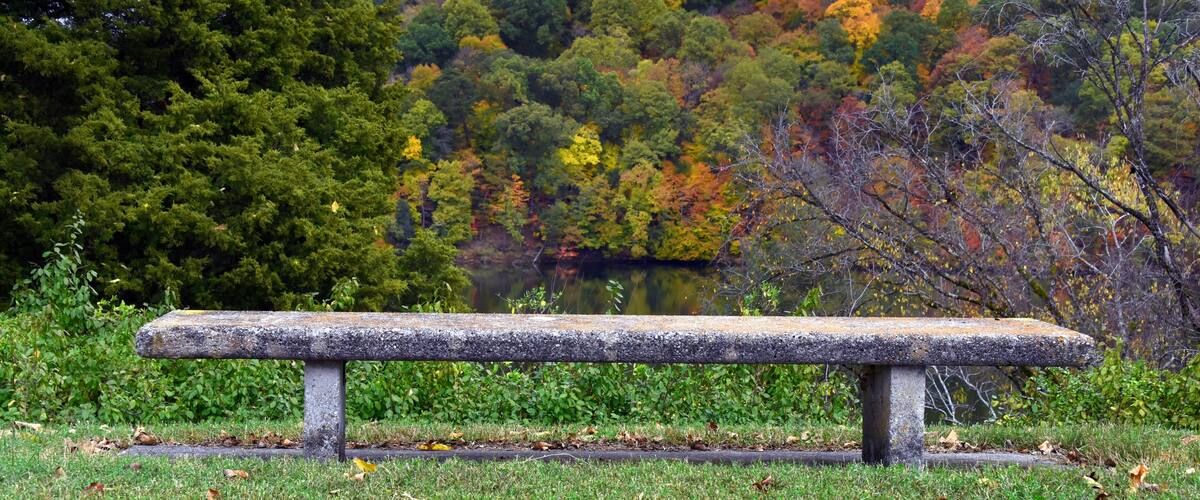 Bench Seating Overlooking Holston River