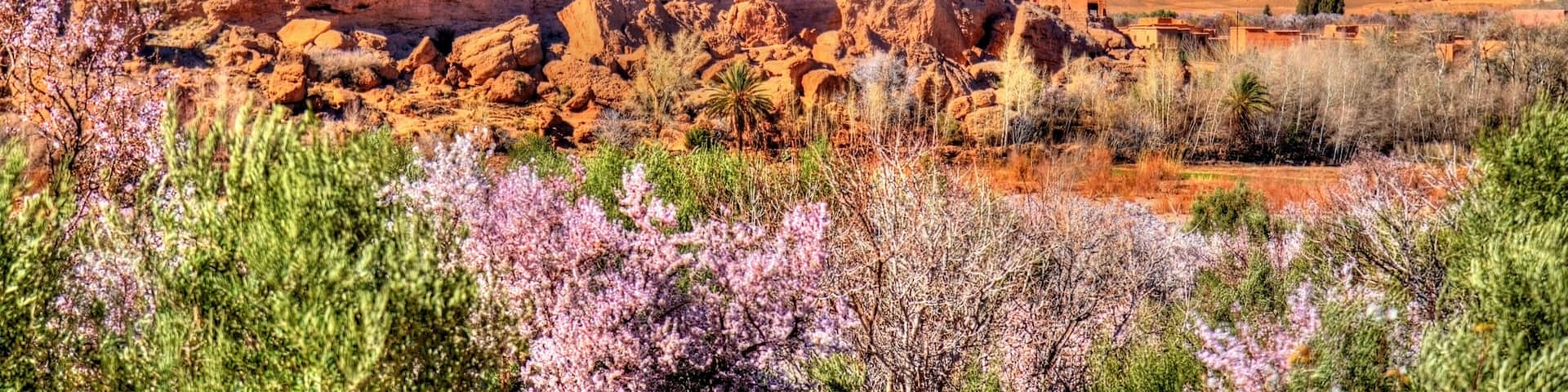 Snowy High Atlas Mountains above Kalaat M'Gouna town in Morocco