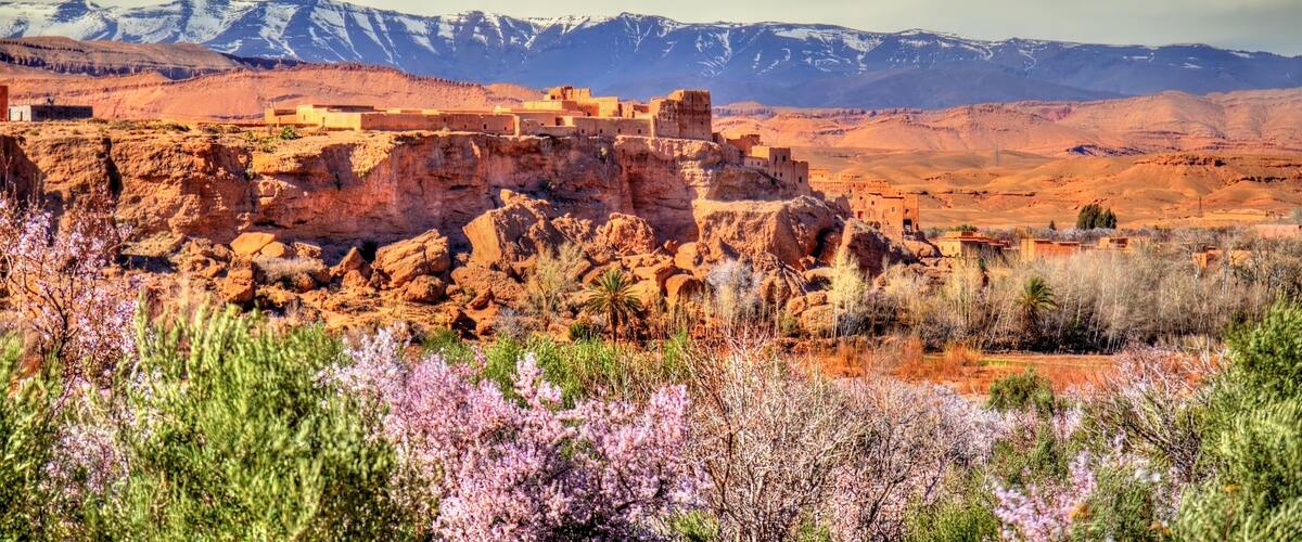A mountainous landscape with a historic adobe village and blooming pink shrubs in the foreground.