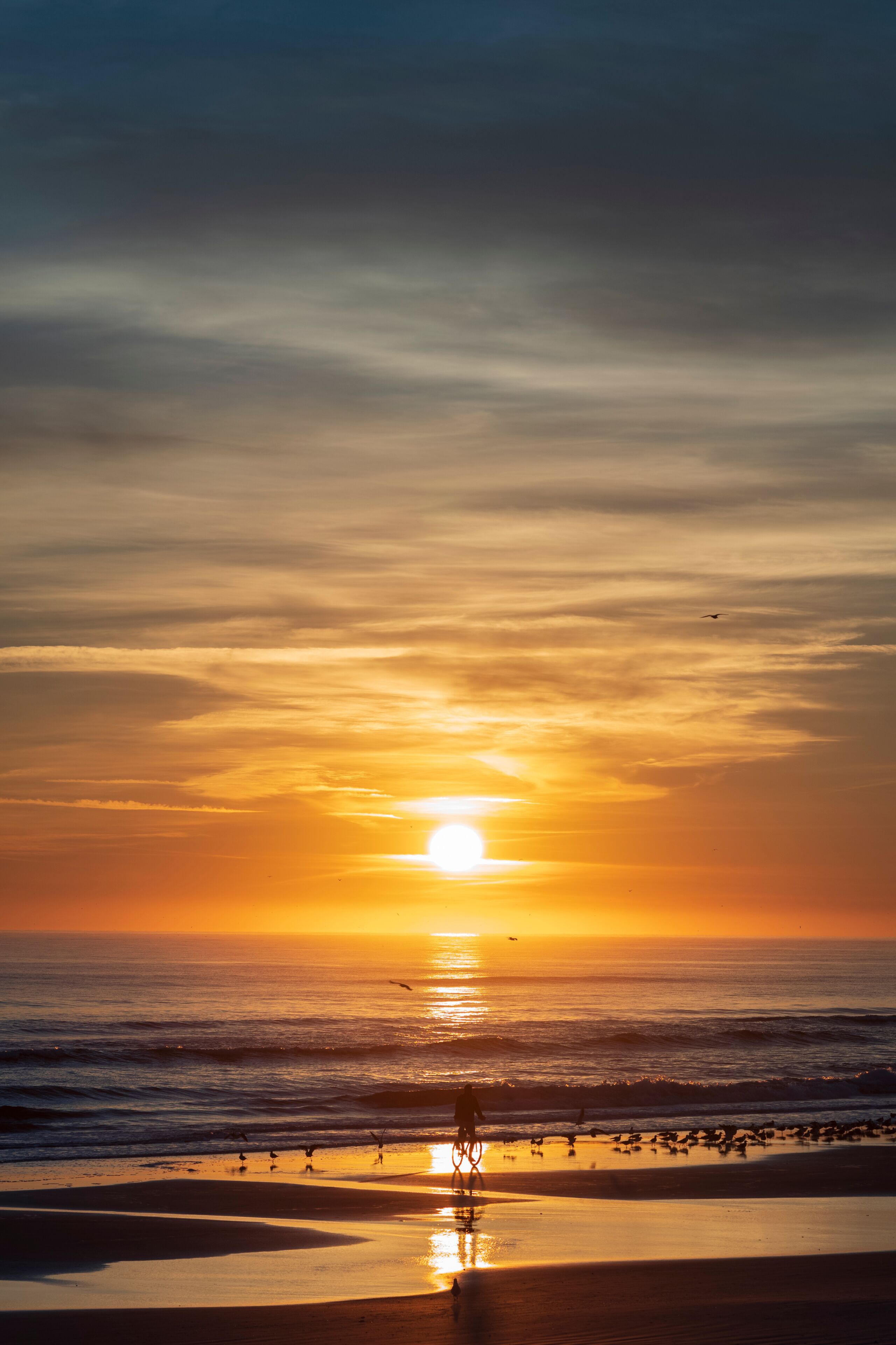 Vertical image of a sunrise along the Atlantic Coast of Port Orange, Florida, featuring a silhouetted man on a bicycle riding on a the beach. 