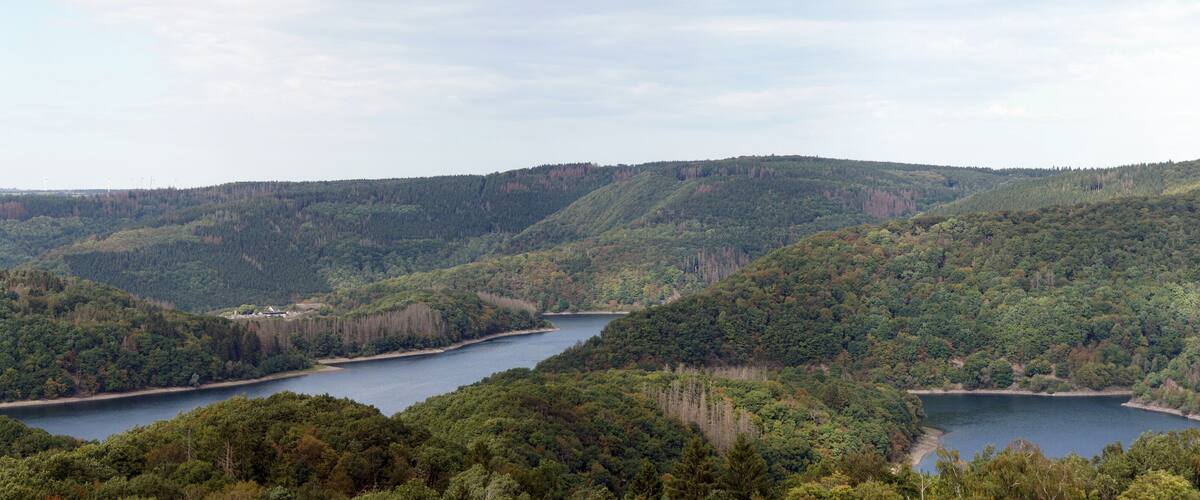 A valley with a river, surrounded by dense forests and hills.