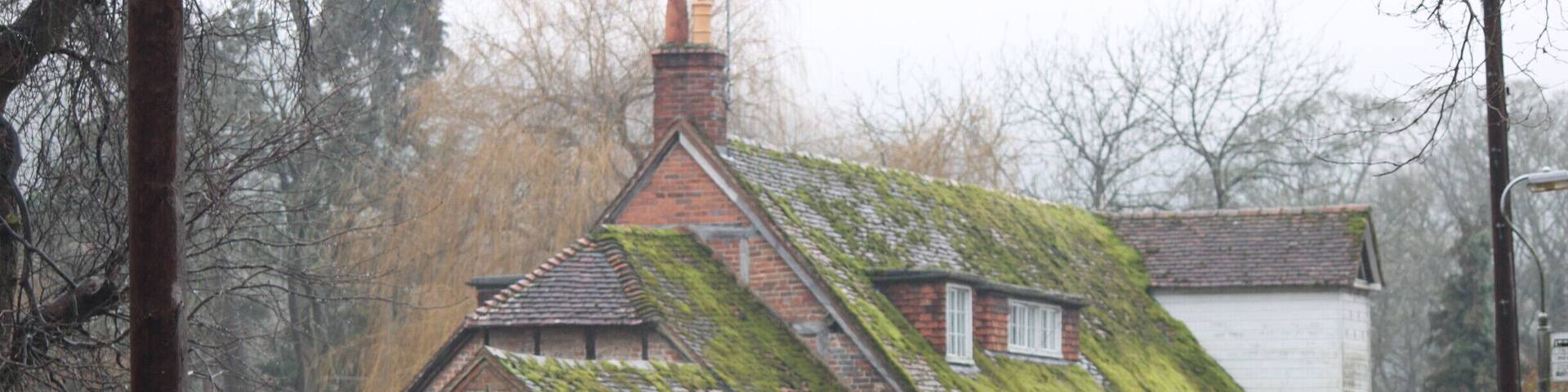 Nice morning in Goring on Thames