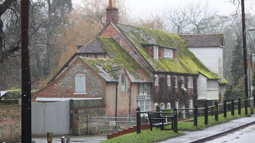 Nice morning in Goring on Thames