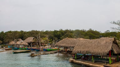 Casa de palma en una playa de la costa caribe de colombia
