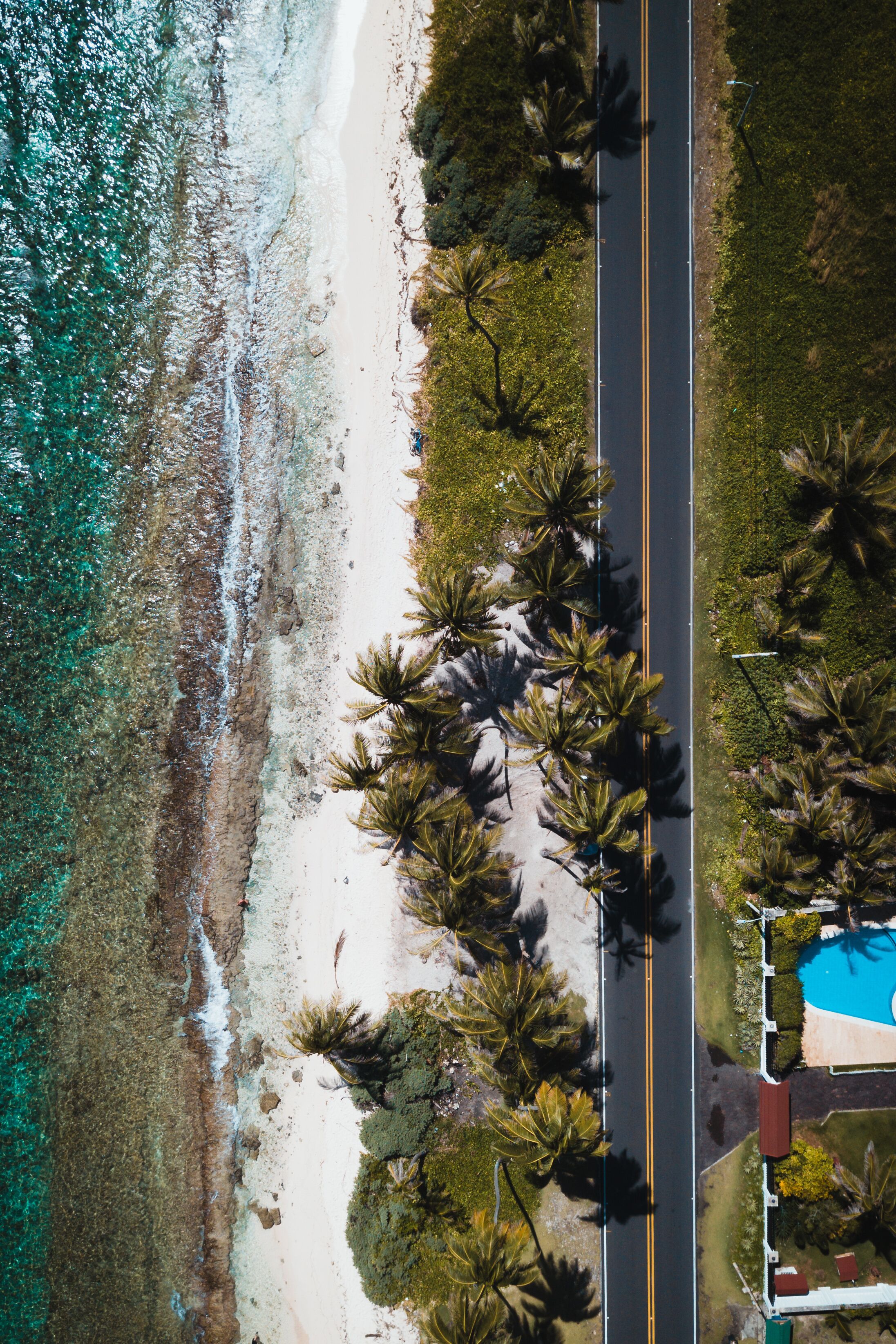 أيزلا بالما