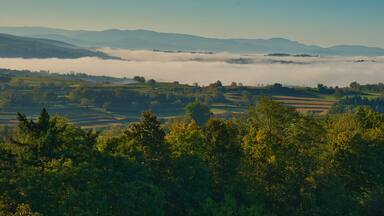 Herbststimmung in der Ortenau bei Ettenheim