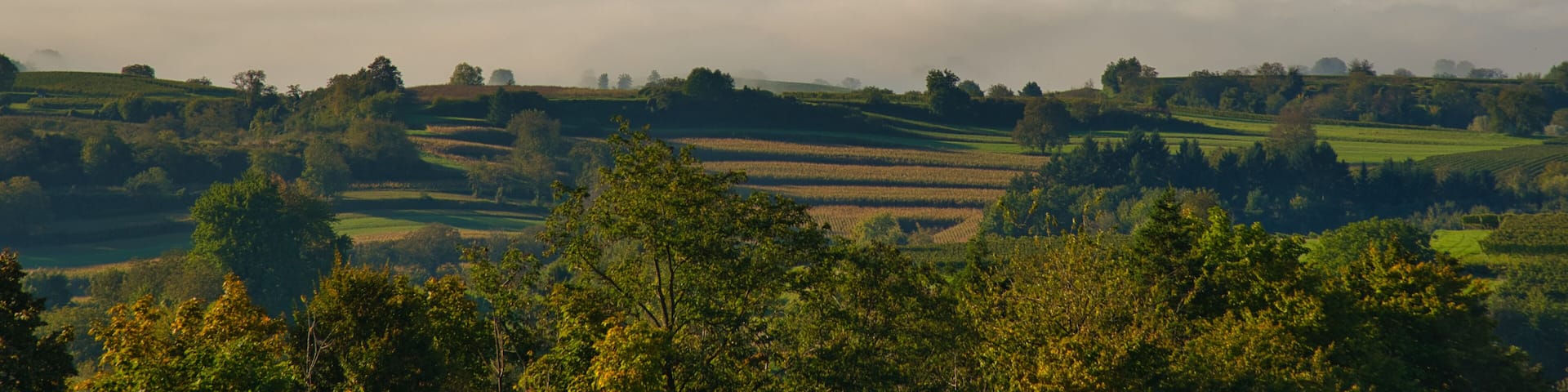 Herbststimmung in der Ortenau bei Ettenheim