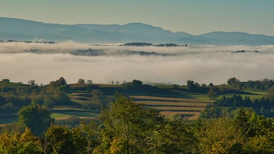 Herbststimmung in der Ortenau bei Ettenheim