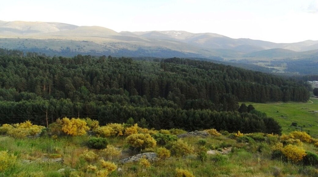 Ver artĂculo en mi Blog en Enlace See post in My blog at Link