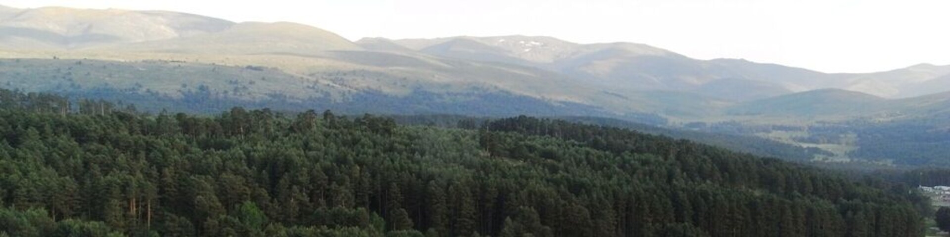 Ver artículo en mi Blog en Enlace See post in My blog at Link