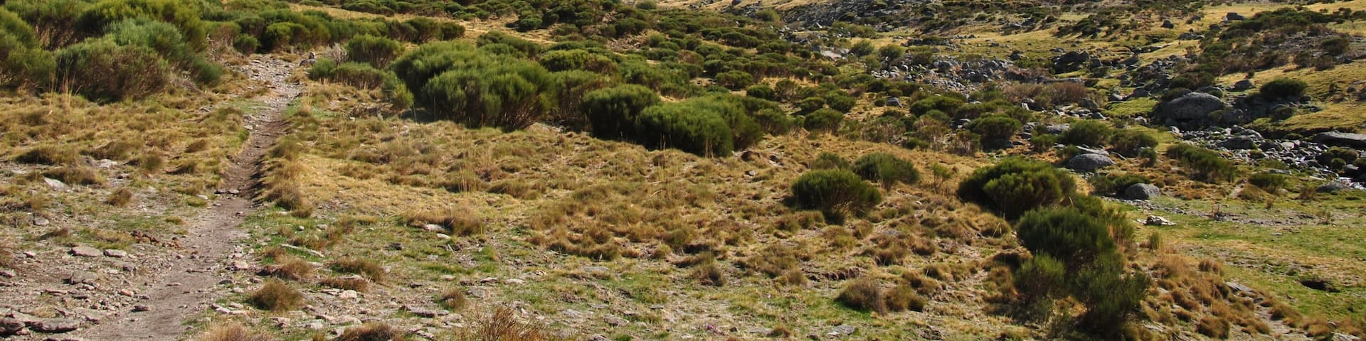 Subida al Puerto del Peón - Ávila - Spain