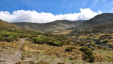 Subida al Puerto del Peón - Ávila - Spain