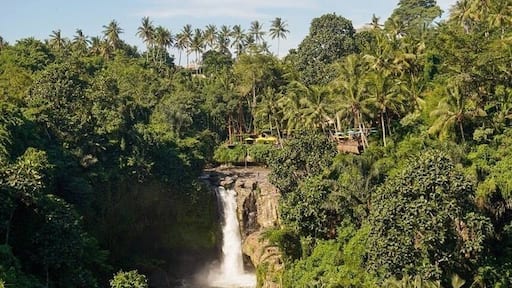 🇮🇩 Bali, Indonesia #LifeAtExpedia