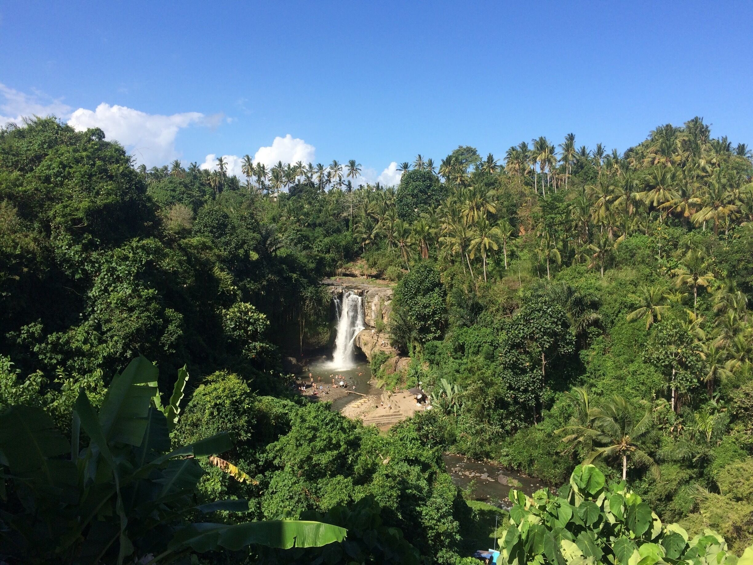 #LifeatExpedia
The lush forest surrounds the stunning waterfall.
This spot can be found 45 mins from Denpasar city. Bali, Indonesia