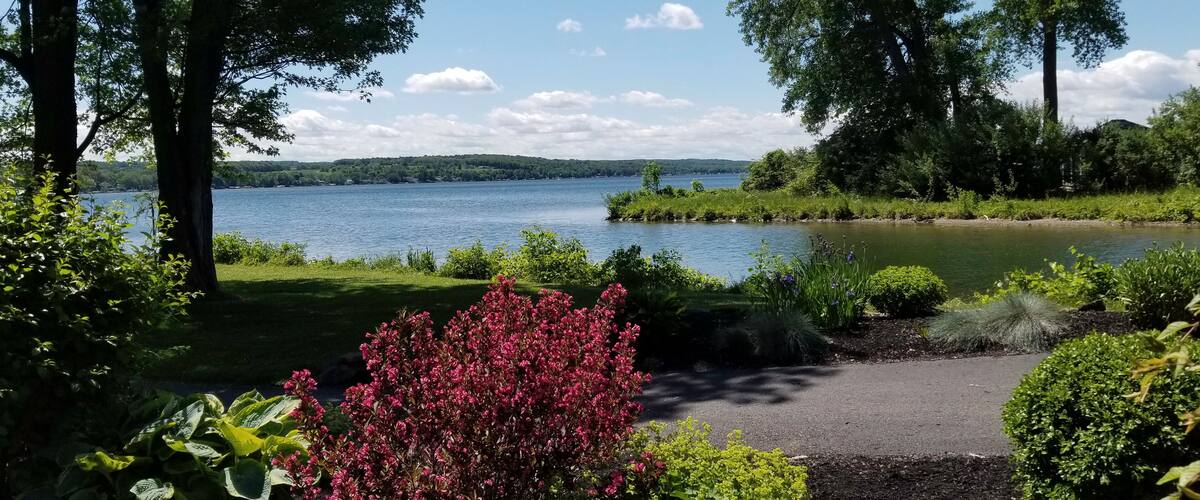 A lake surrounded by trees and greenery.