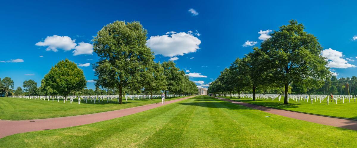 A cemetery with rows of white crosses under tall trees.