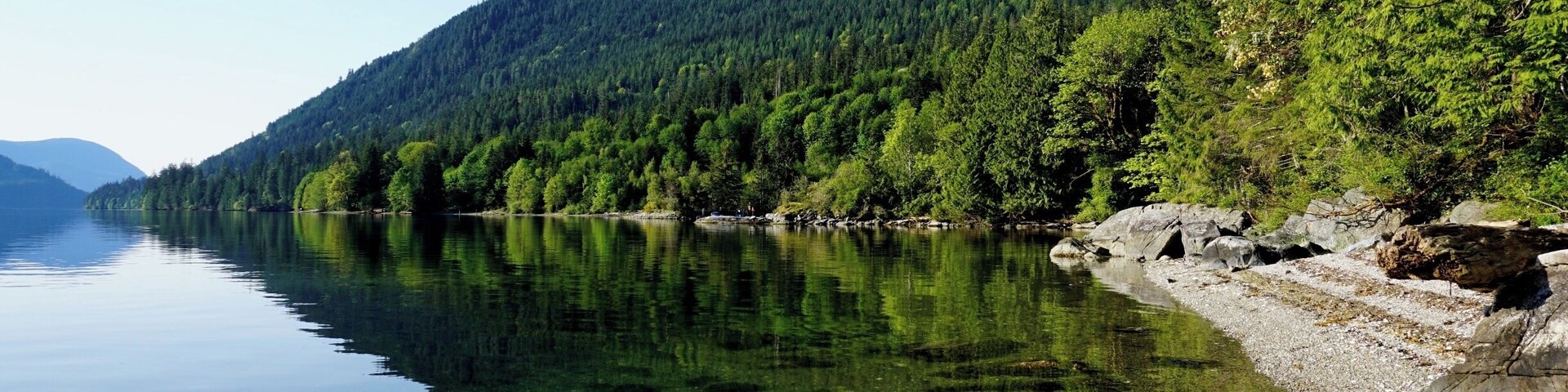 Un lago tranquilo rodeado de un bosque denso y montañas.