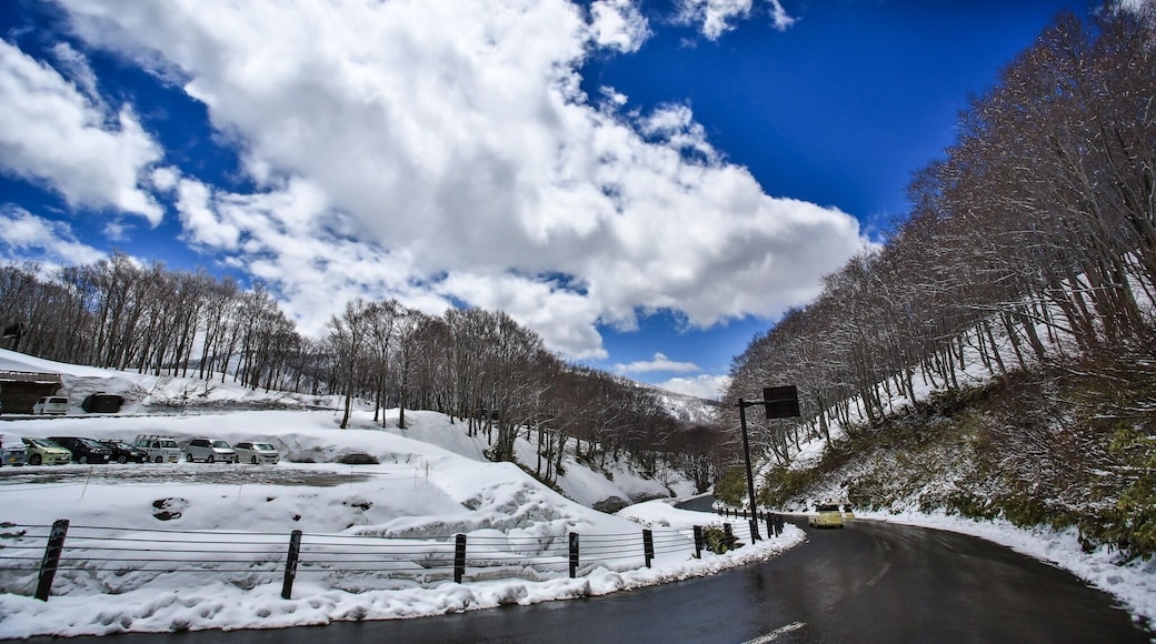 A good sunny day over the mountain of Hakkoda.
#OntheRoad