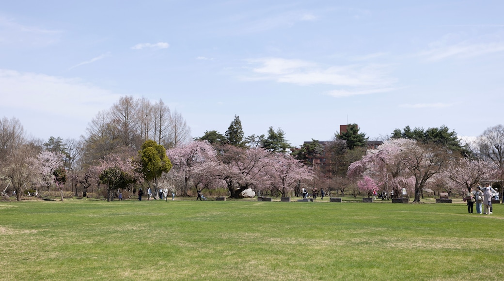 view of Hirosaki park in Aomori prefecture in Japan