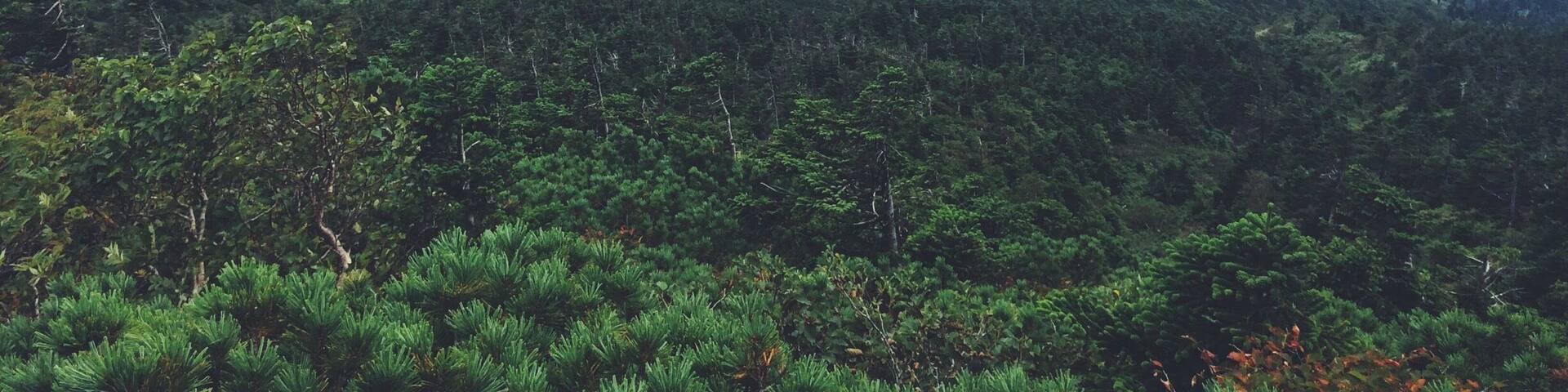 Hiking to the peak of Mt. Otake in the Hakkoda Mountain range. The views from the top are amazing. Extra nice is the onsen waiting for you at the trailhead! #hiking