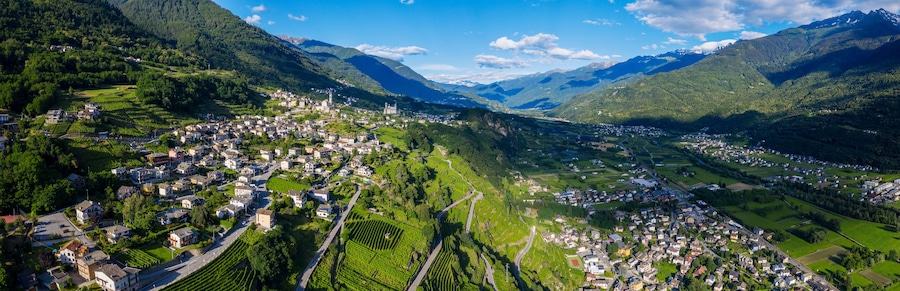 Valtellina (IT) - vineyards and terraces in the Poggiridenti area on the panoramic wine route
