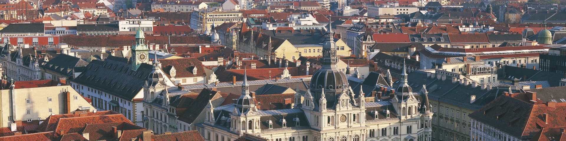 Graz Town Hall featuring mist or fog, heritage architecture and a city