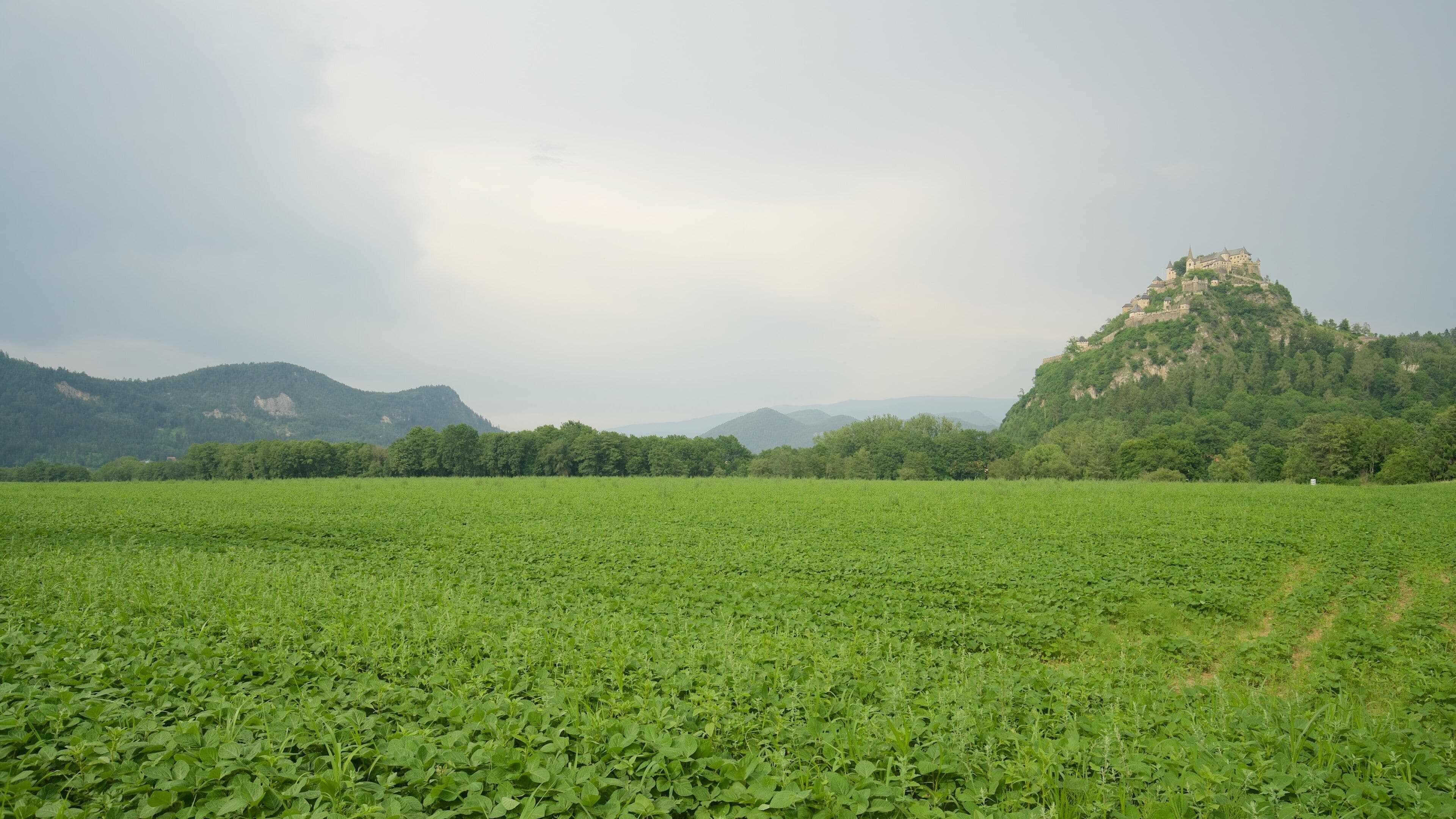 Hochosterwitz Castle which includes mountains and tranquil scenes