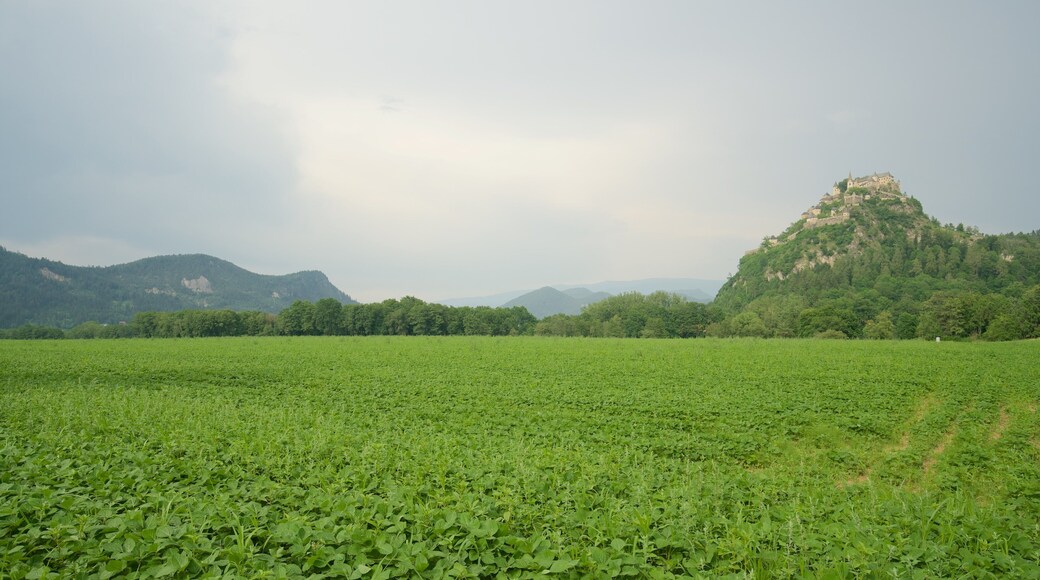 Hochosterwitz Castle which includes mountains and tranquil scenes