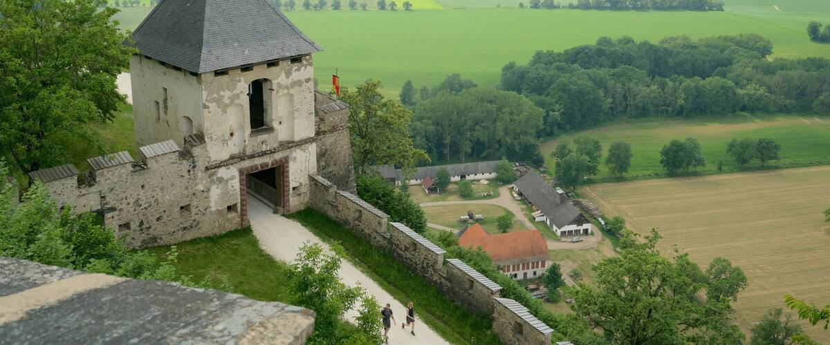Eine historische Steinburg mit spitzem Turmdach, das über ein üppiges Grünental blickt.