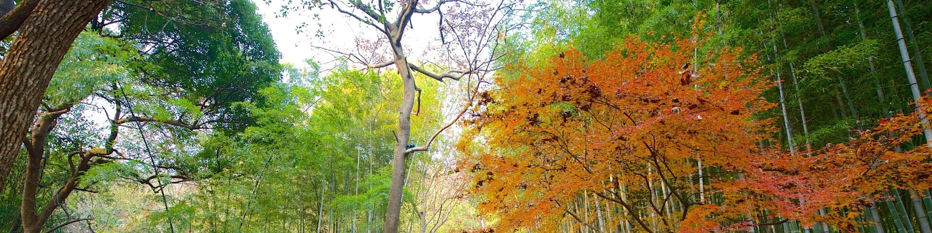 Baochu Pagoda featuring hiking or walking