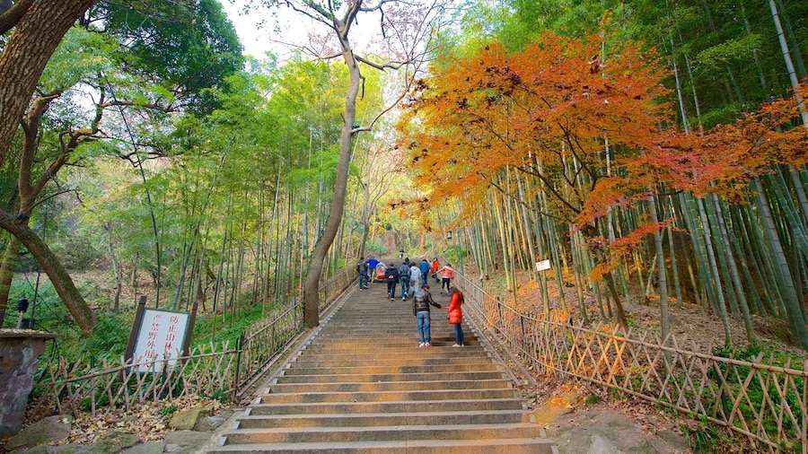 Baochu Pagoda showing hiking or walking