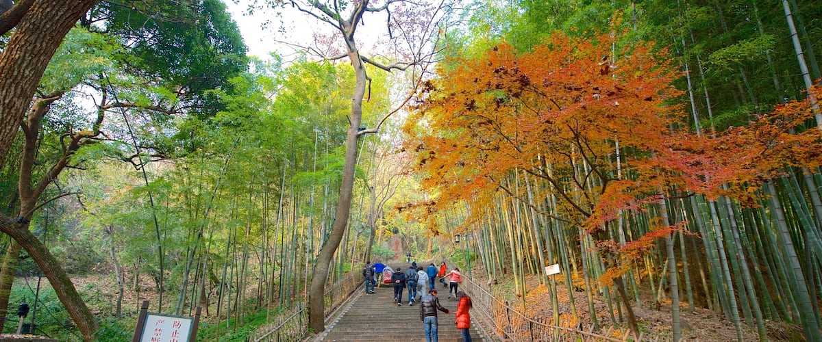 Baochu Pagoda featuring hiking or walking