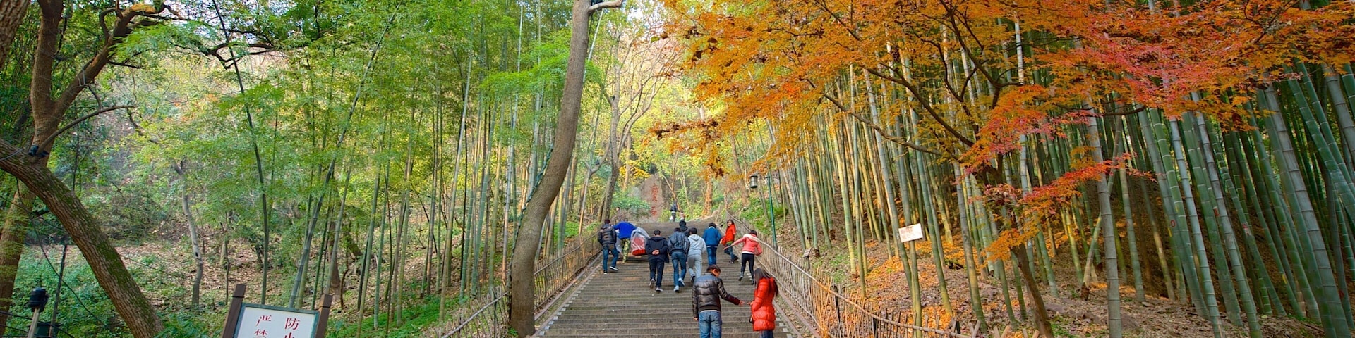 Baochu Pagoda featuring hiking or walking