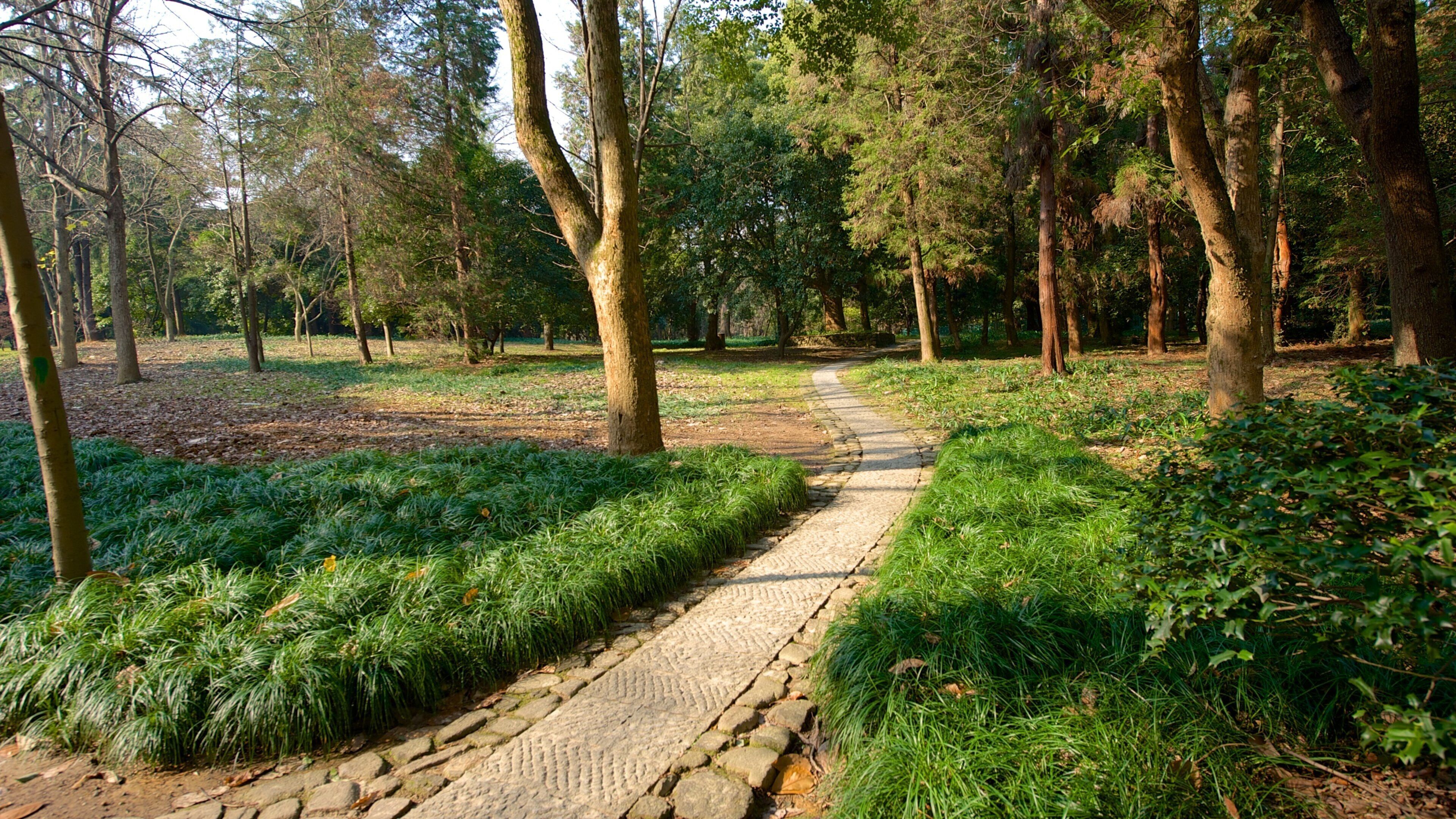 Hangzhou Botaniske Have og byder på en park