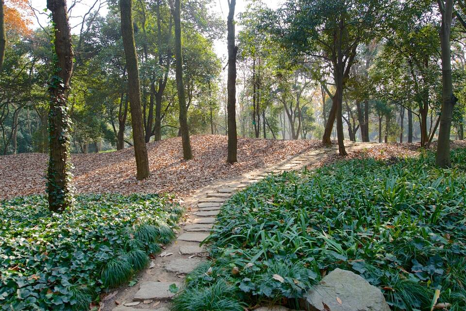 A forest path with stone steps surrounded by greenery and trees.