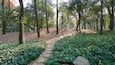 Giardino Botanico Hangzhou caratteristiche di giardino e foresta