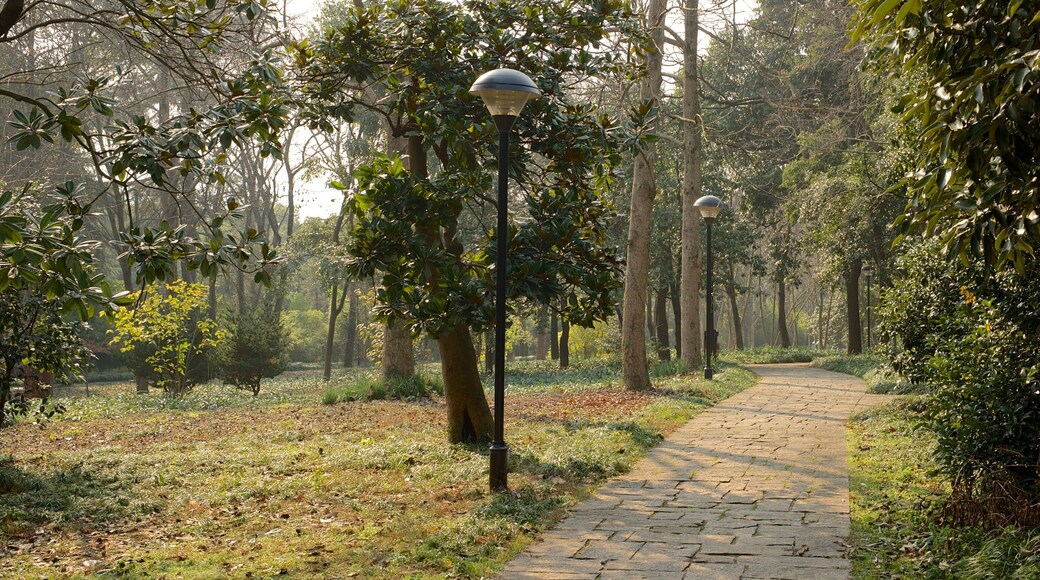 Hangzhou Botaniske Have og byder på en park