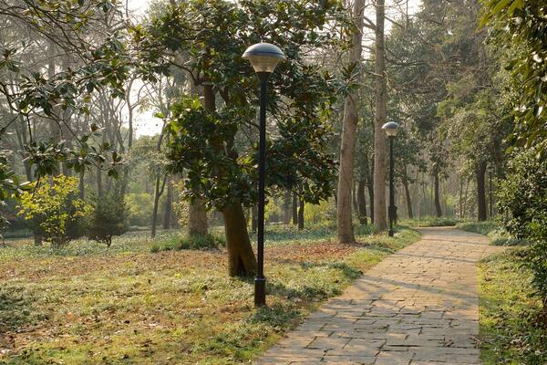 Hangzhou Botanical Garden featuring a garden