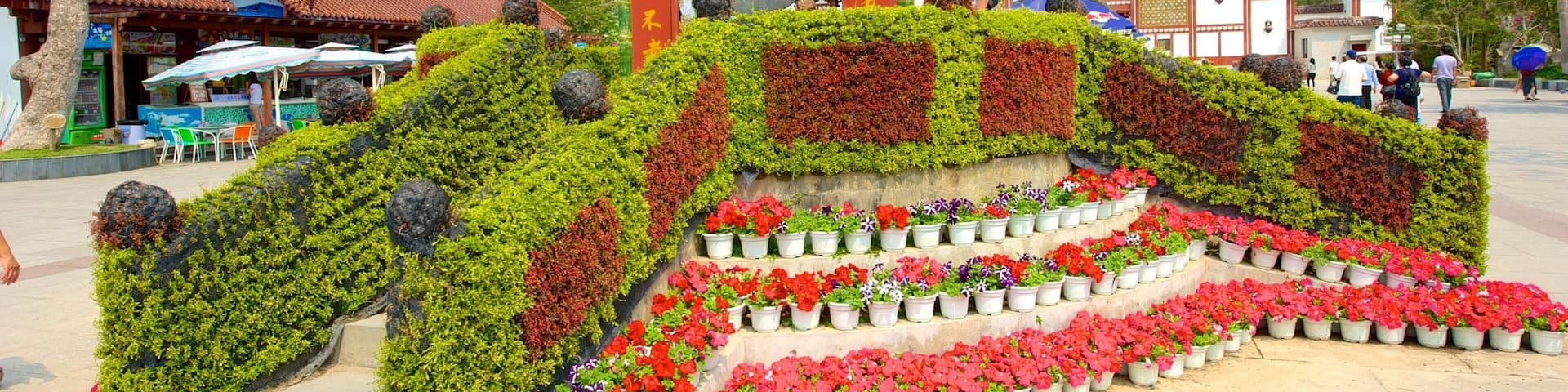 Guanyin Statue of Hainan featuring flowers, a monument and a square or plaza