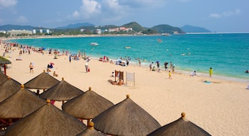 Dadongdai Beach which includes general coastal views and a beach