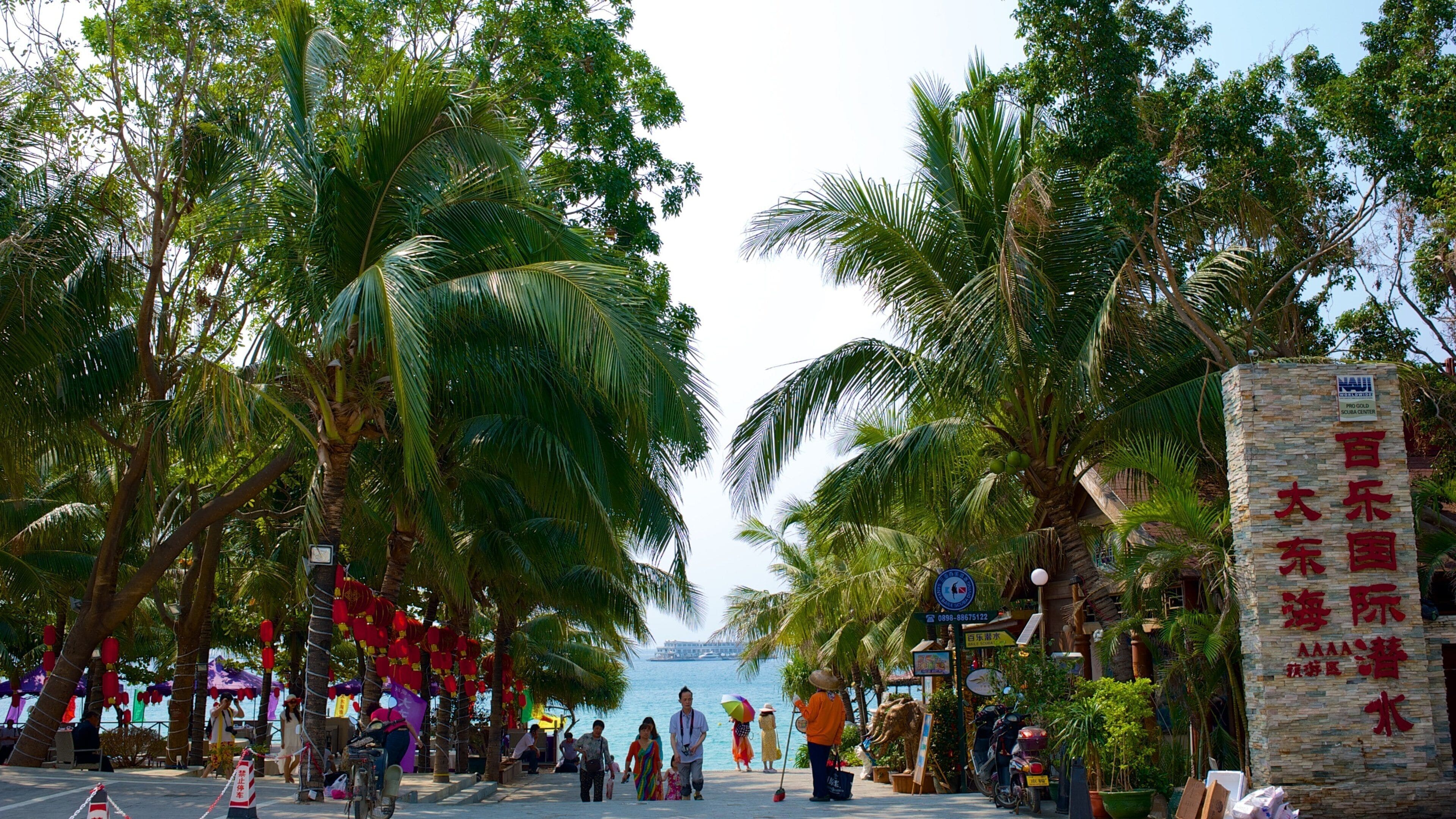 Praia de Dadongdai mostrando cenas tropicais e sinalização