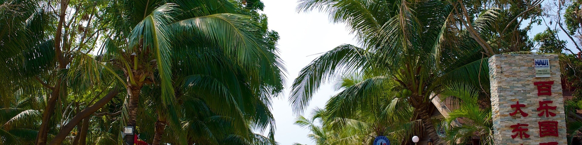Dadongdai Beach showing tropical scenes and signage