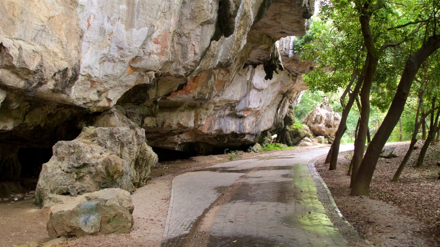 Seven-Star Park showing a park and caves