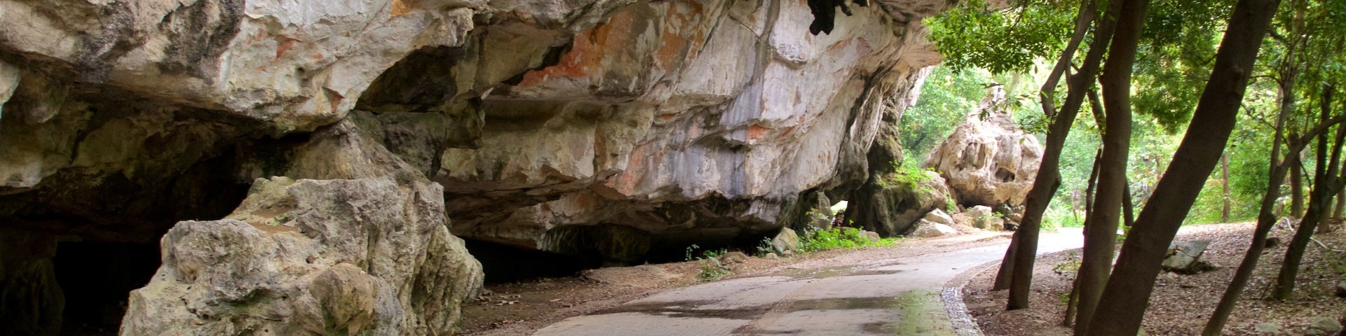 Parque de las 7 estrellas ofreciendo cuevas y un jardín