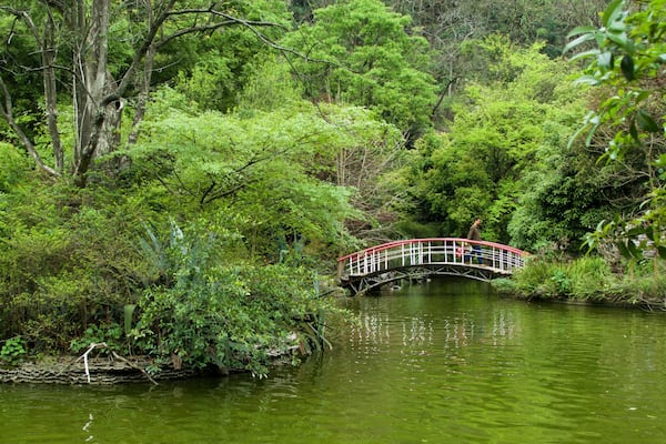 A red and white bridge over a calm river surrounded by lush greenery.
