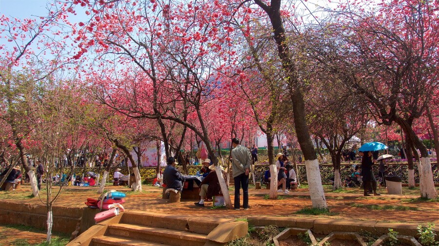 Kunming Zoologiske Have