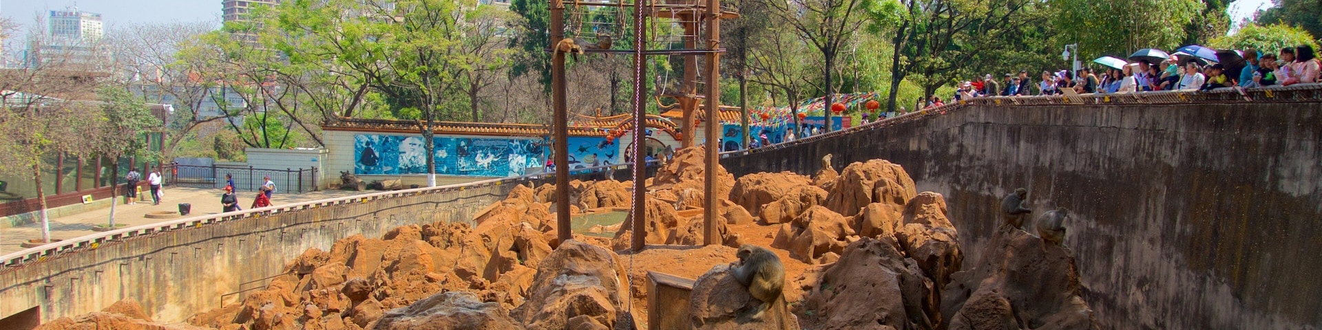 Zoo de Kunming