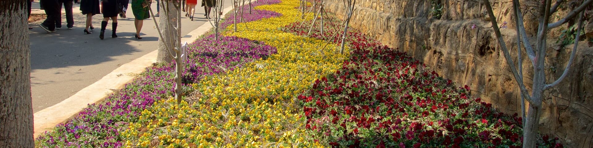 Kunming Zoo which includes flowers and a park as well as a small group of people