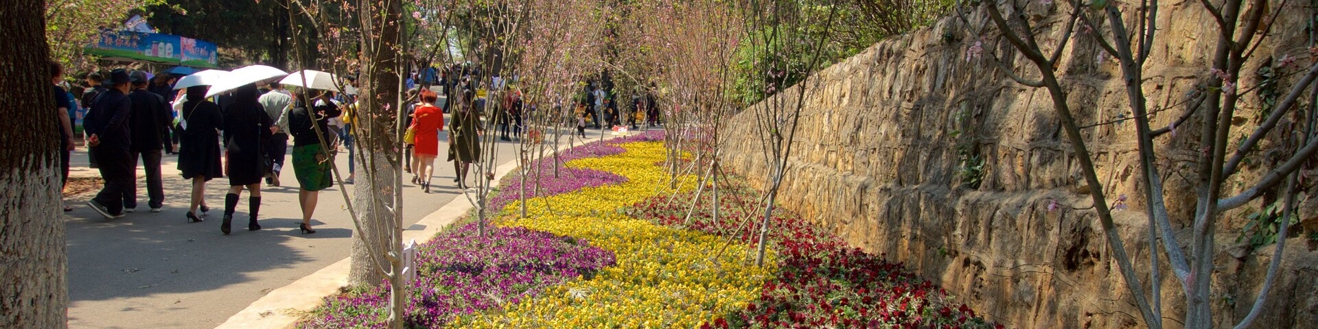 Kunming Zoo which includes flowers and a park as well as a small group of people